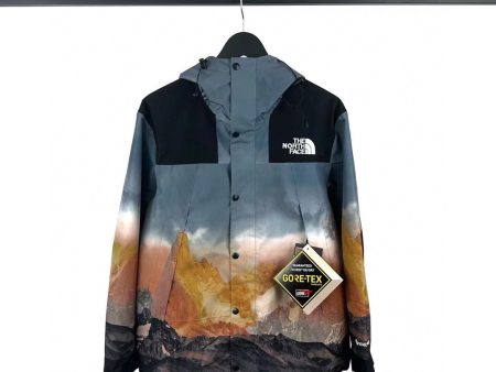 The north face jacket For Cheap