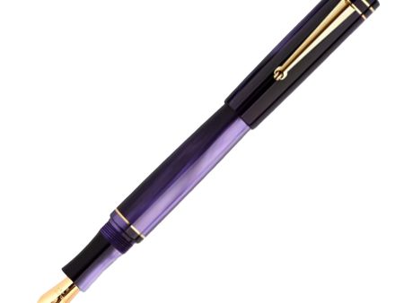 Delta Write Balance Fountain Pen - Purple GT For Discount