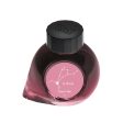 Colorverse Project α Boo Ink Bottle, Pink - 65ml Online Hot Sale